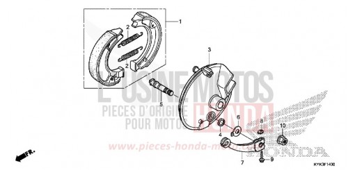 BREMSPLATTE, VORNE CRF110FD de 2013
